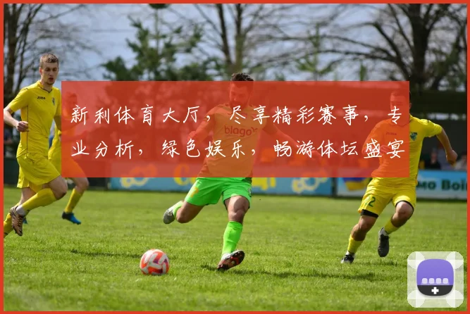 新利体育大厅，尽享精彩赛事，专业分析，绿色娱乐，畅游体坛盛宴，不容错过